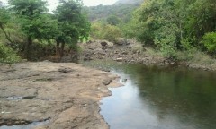 A shot from an old drive